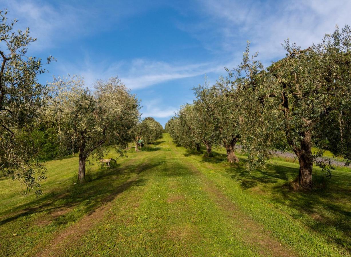 Podere Sant'Antonio Fauglia Экстерьер фото