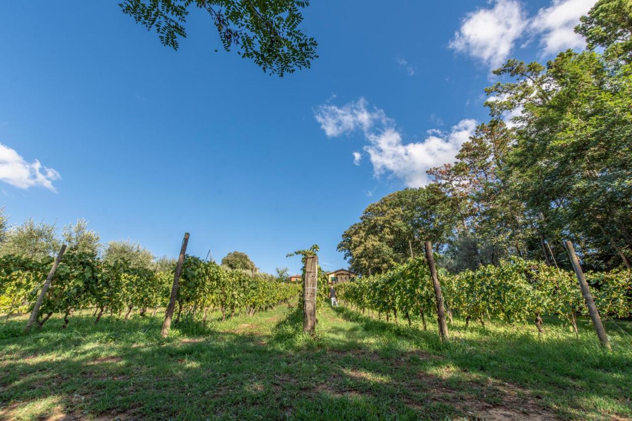 Podere Sant'Antonio Fauglia Экстерьер фото