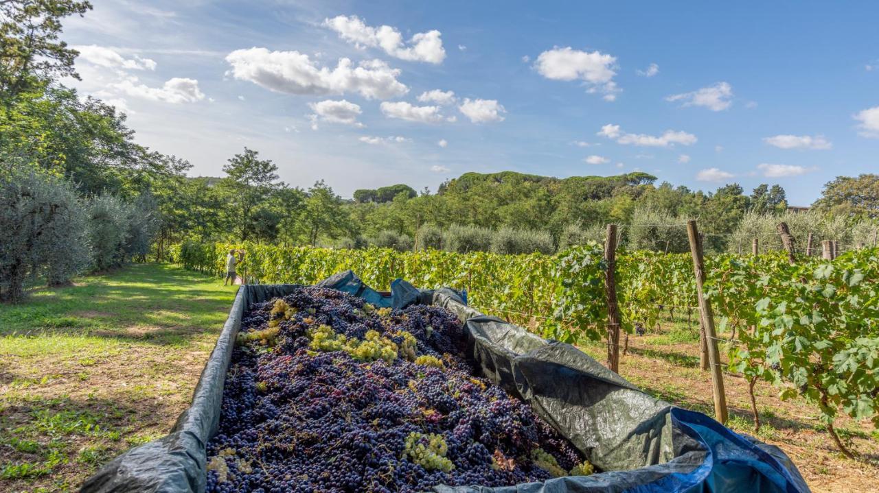 Podere Sant'Antonio Fauglia Экстерьер фото