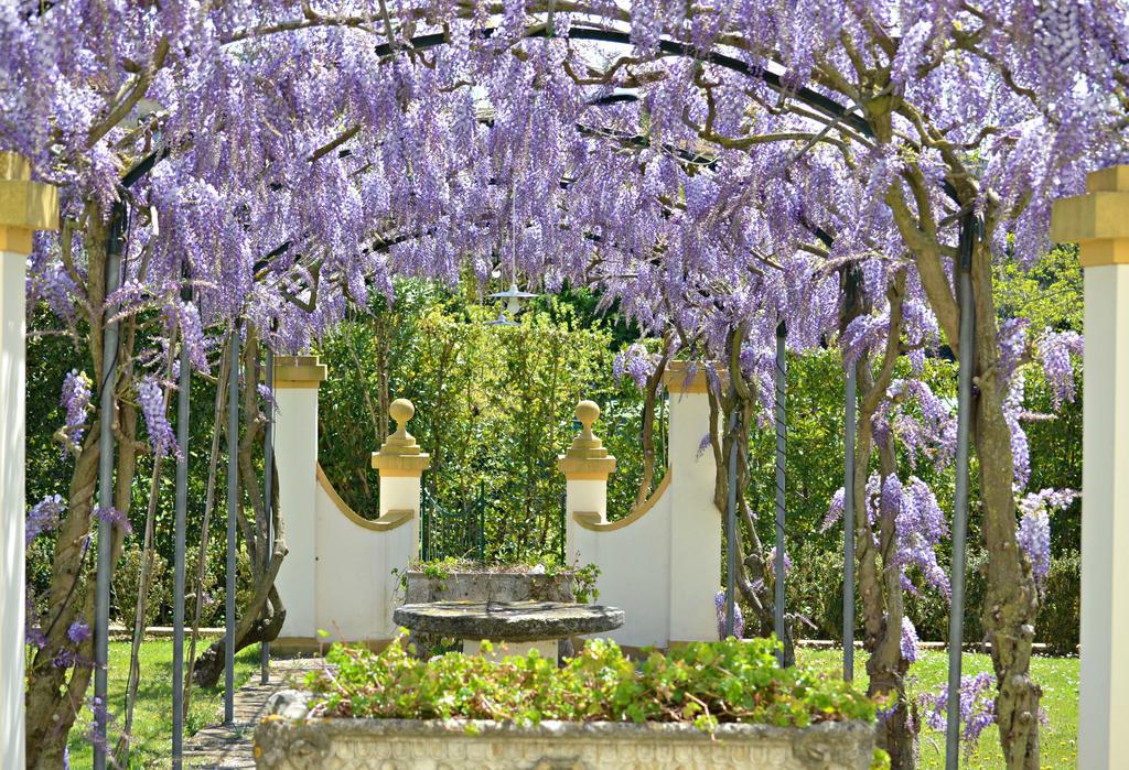 Podere Sant'Antonio Fauglia Экстерьер фото