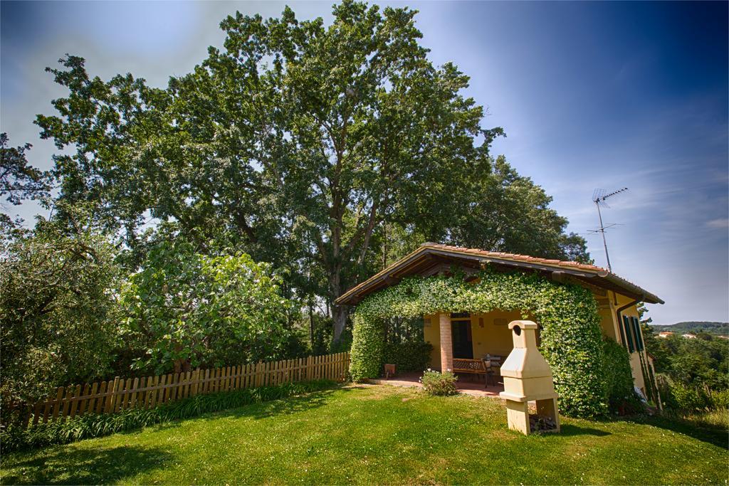 Podere Sant'Antonio Fauglia Экстерьер фото