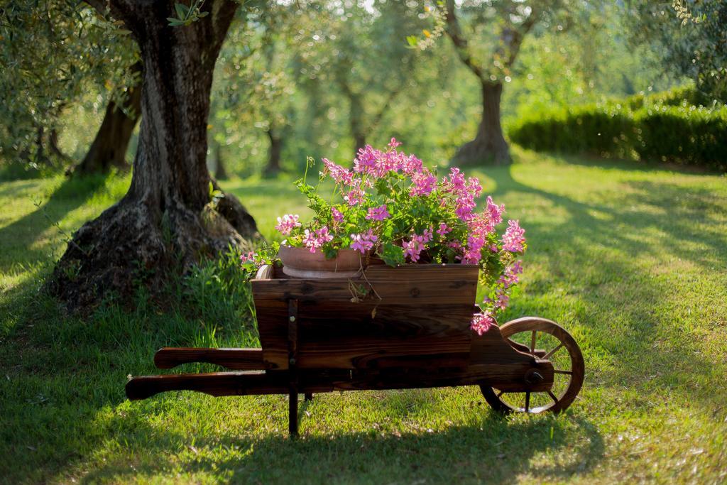 Podere Sant'Antonio Fauglia Экстерьер фото