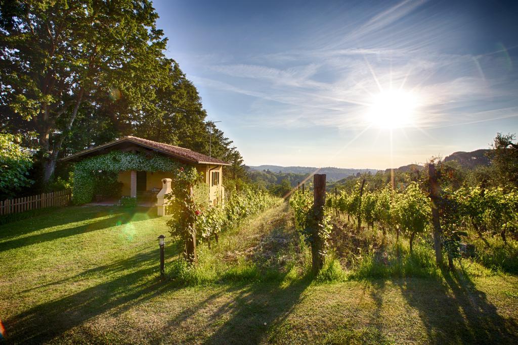Podere Sant'Antonio Fauglia Экстерьер фото